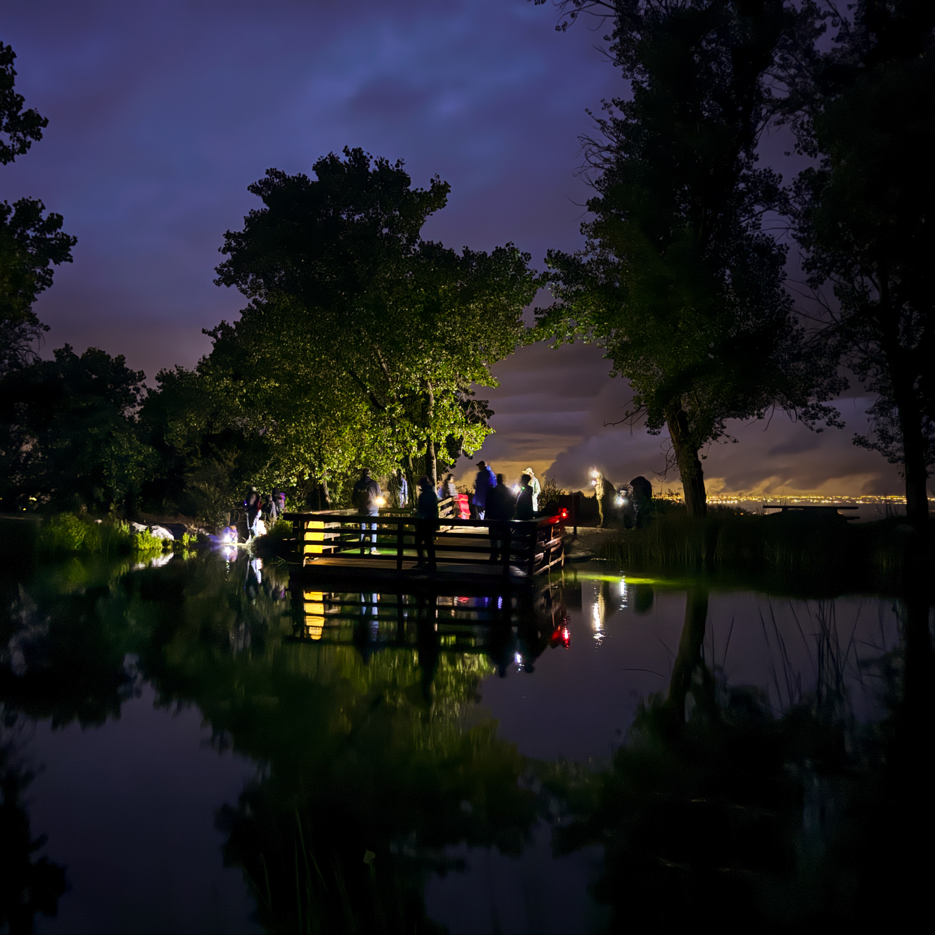 Family Camp Night - logo